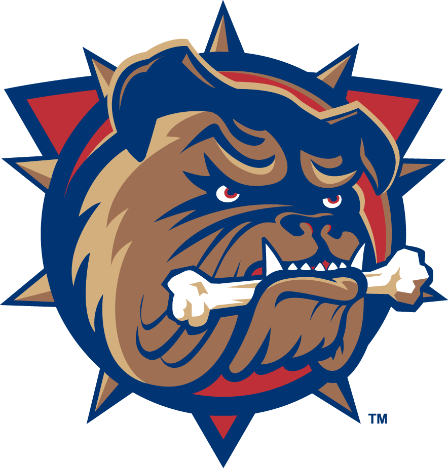 Hamilton Bulldogs 2016 Primary Logo iron on heat transfer